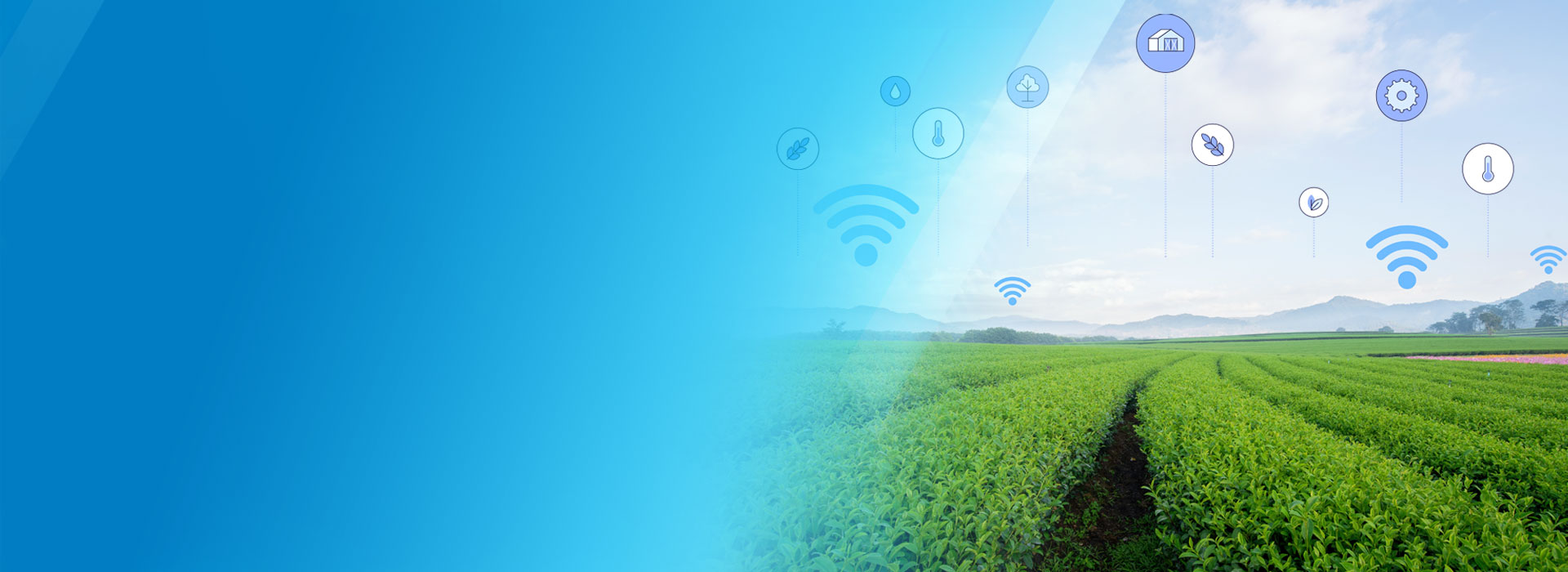 Top-banner-5G agriculture
